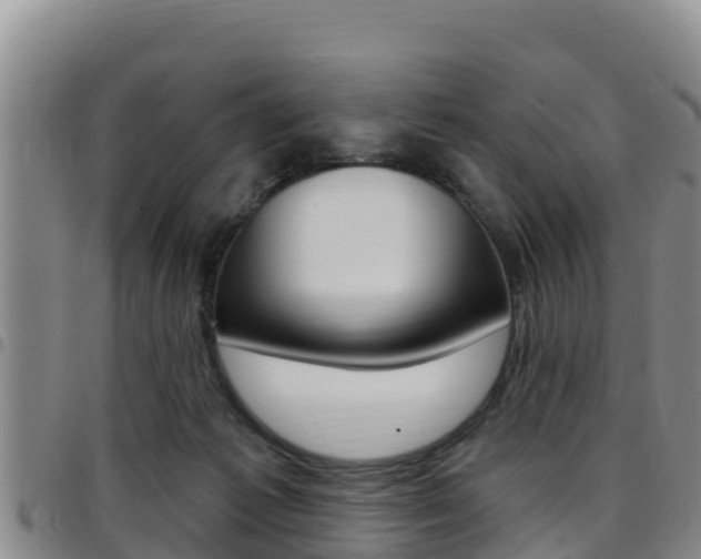 X0000097890221200803141012