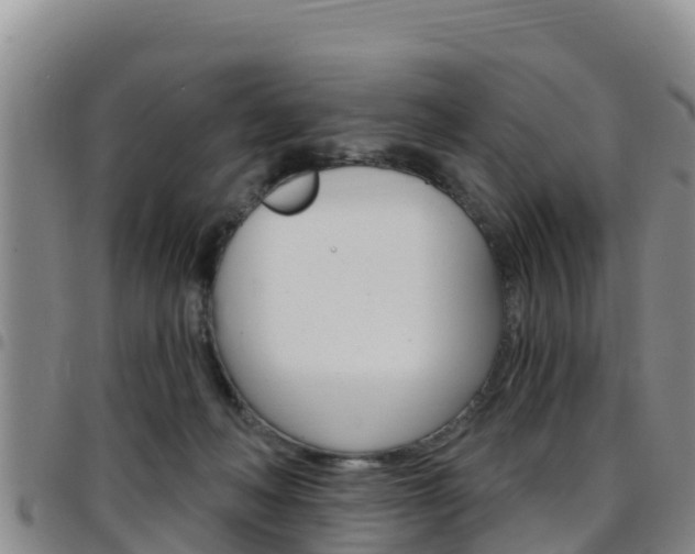 X0000097890222200803141012