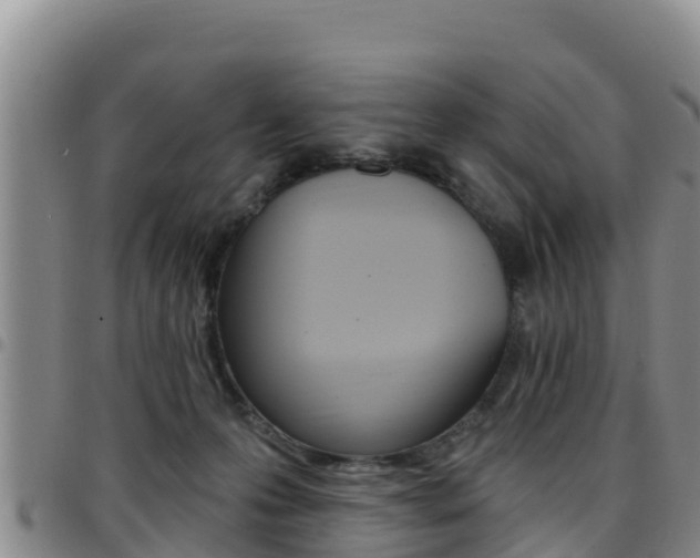 X0000097890223200803141012