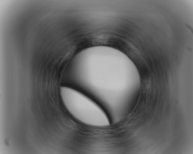 X0000097890224200803141012