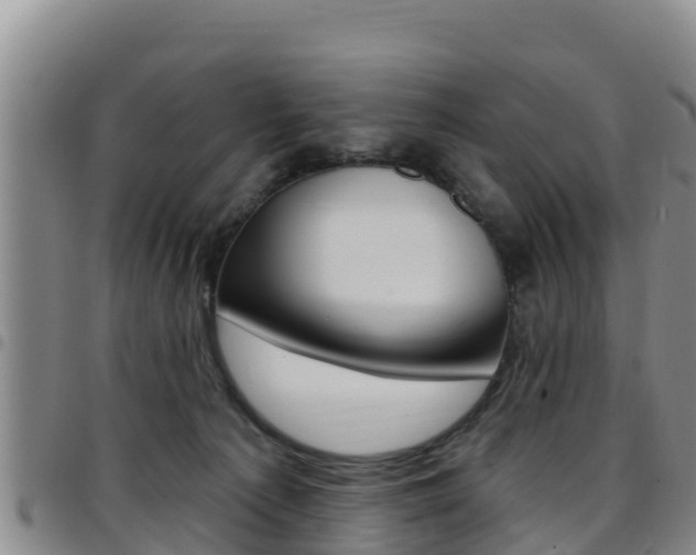 X0000097890225200803141012