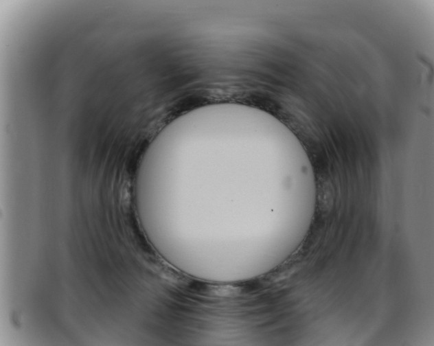 X0000097890226200803141012