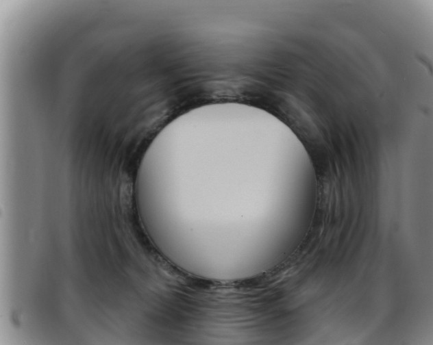 X0000097890228200803141012