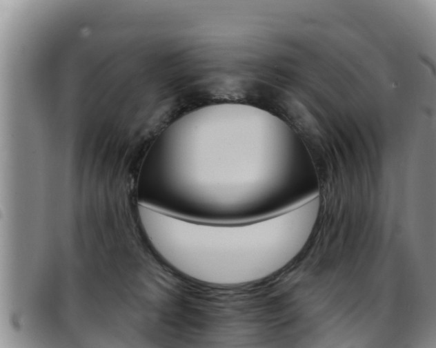 X0000097890229200803141012