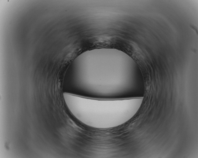 X0000097890231200803141012