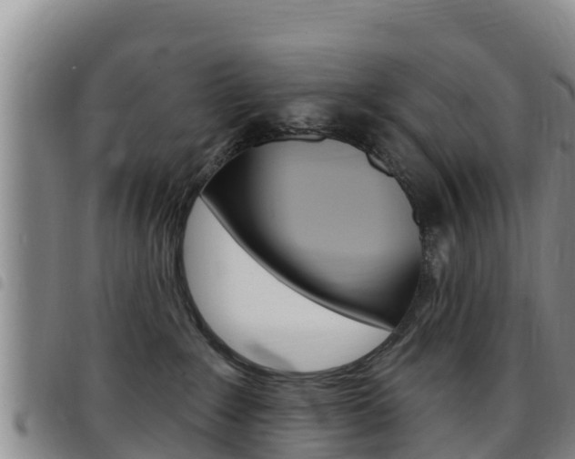 X0000097890235200803141012