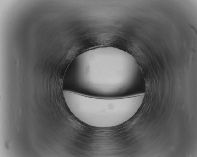 X0000097890237200803141012