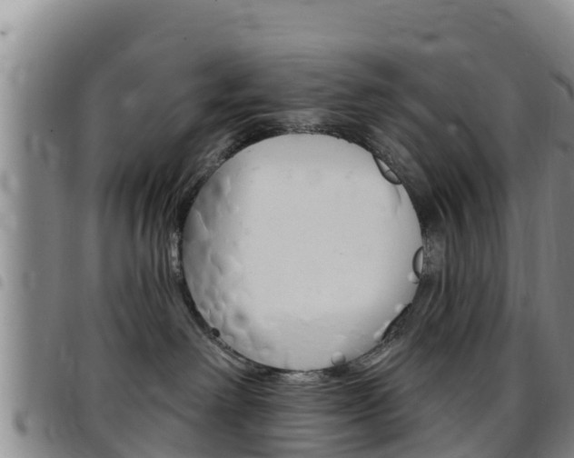 X0000097890238200803141012