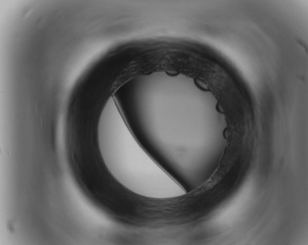 X0000097890239200803141012