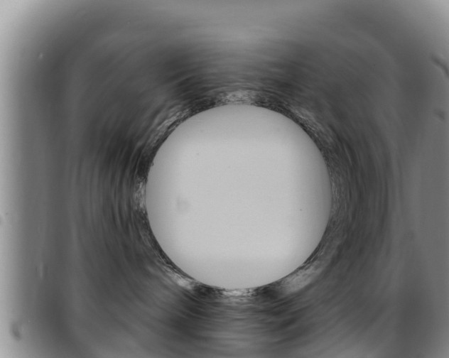 X0000097890240200803141012