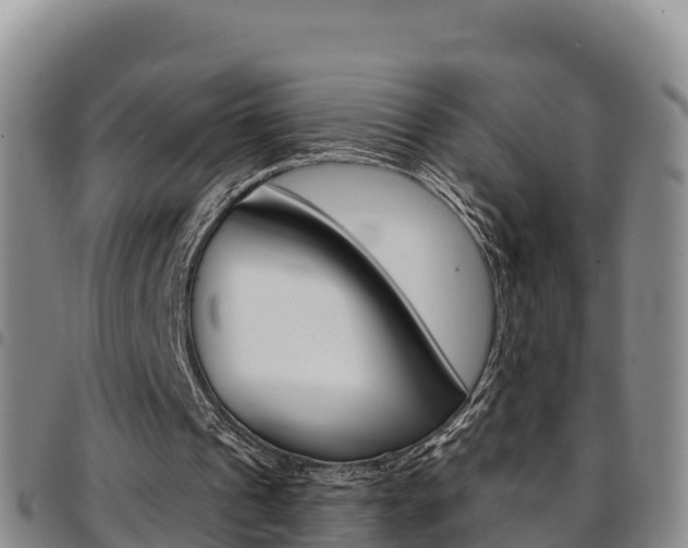 X0000097890241200803141011