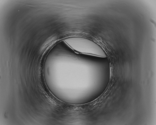 X0000097890243200803141011