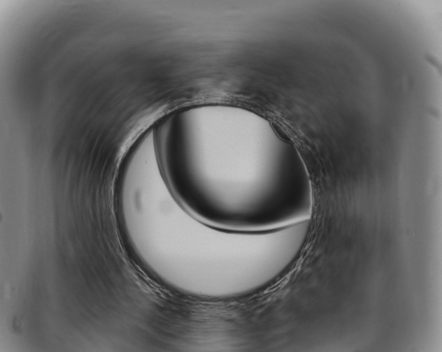 X0000097890244200803141011