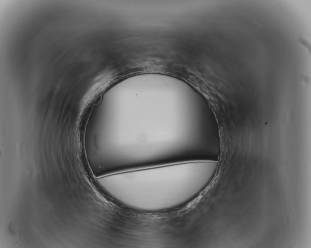 X0000097890245200803141011