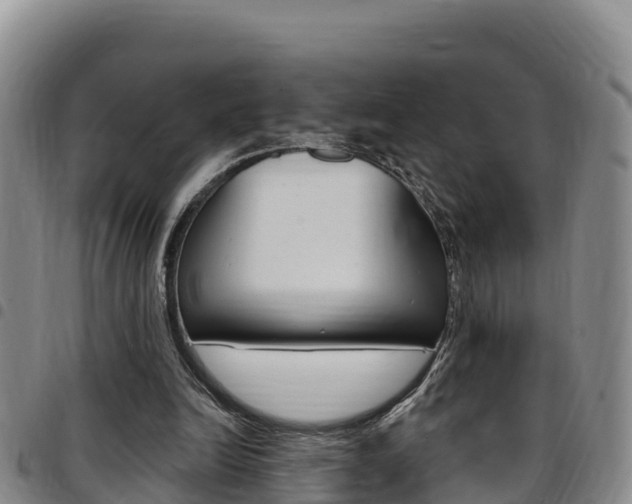 X0000097890246200803141011