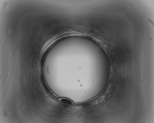 X0000097890247200803141011