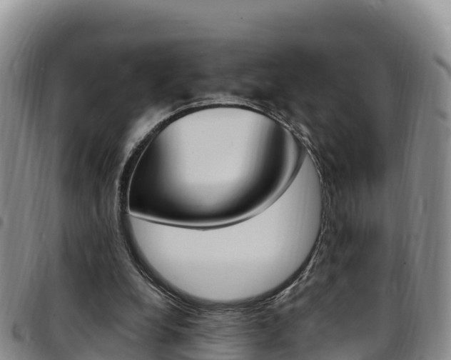 X0000097890248200803141011