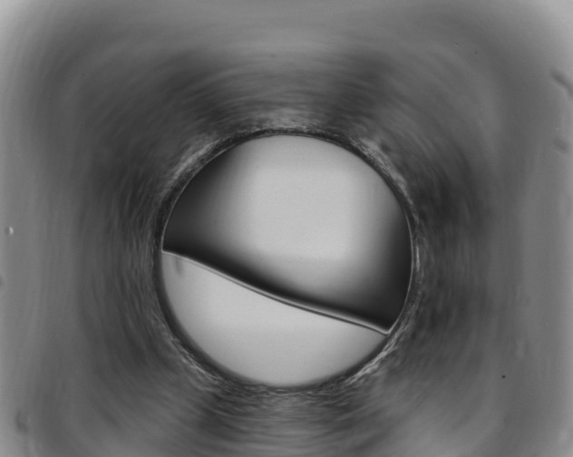 X0000097890249200803141011