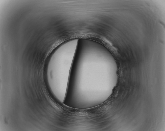 X0000097890250200803141011
