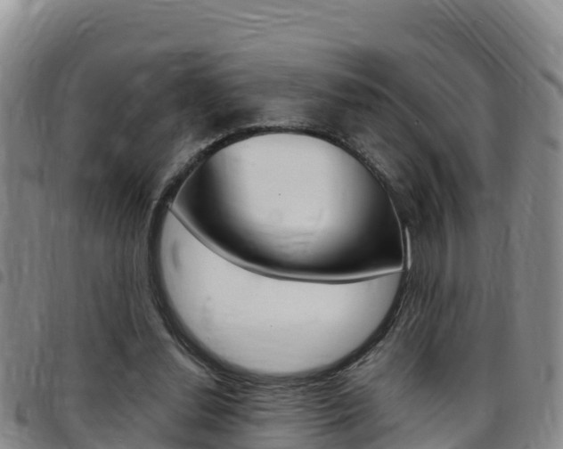 X0000097890252200803141011