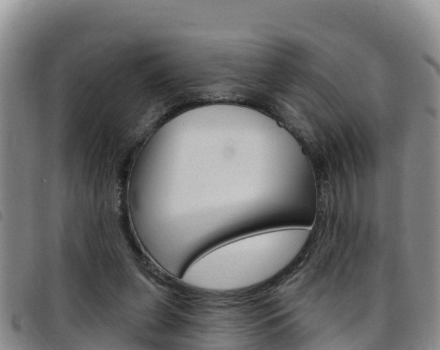X0000097890255200803141011