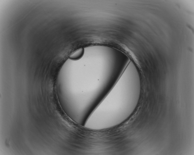 X0000097890257200803141011