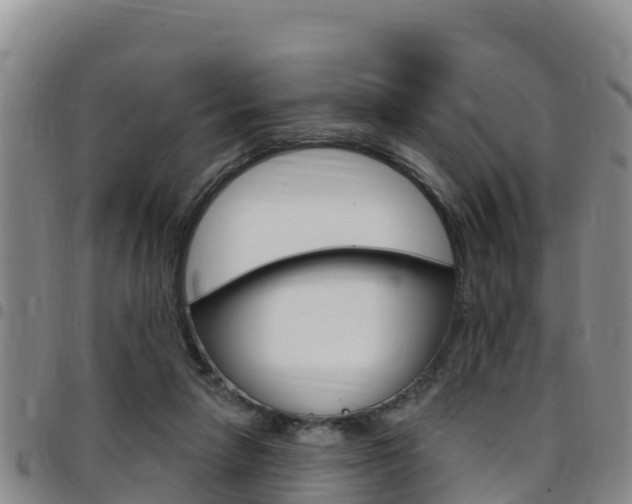 X0000097890258200803141011