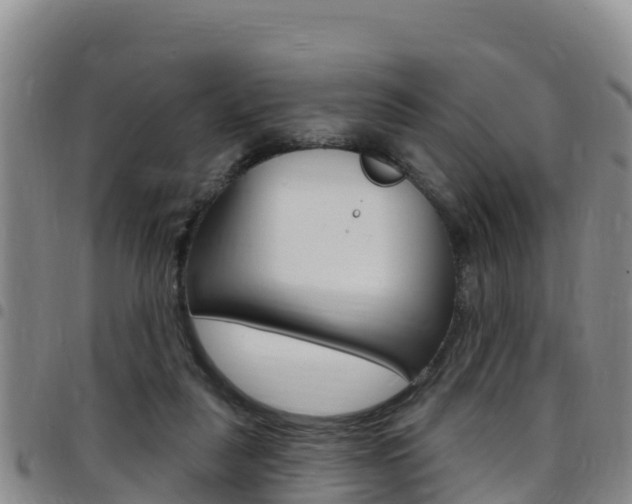 X0000097890259200803141011