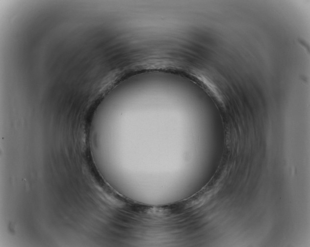 X0000097890261200803141011