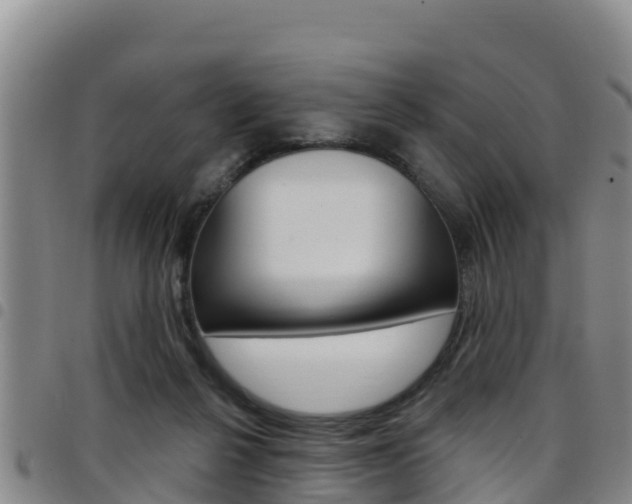 X0000097890264200803141012