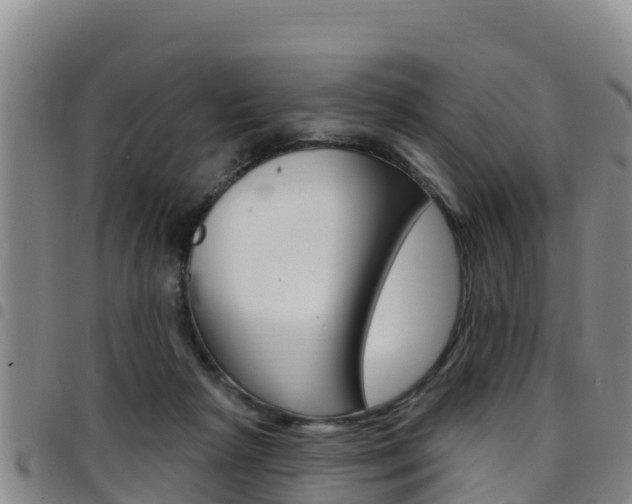 X0000097890265200803141012