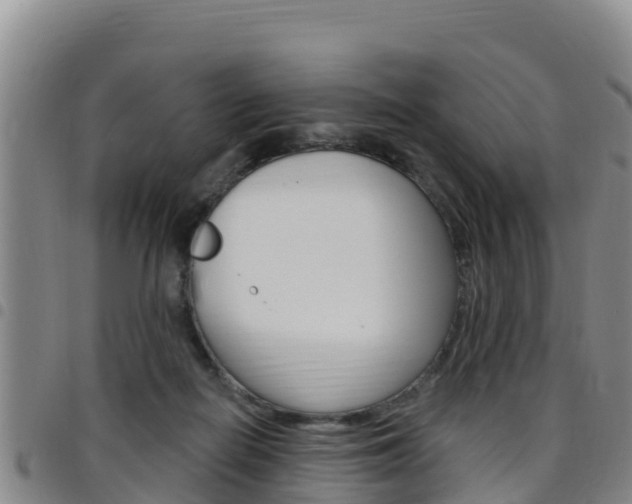 X0000097890266200803141012