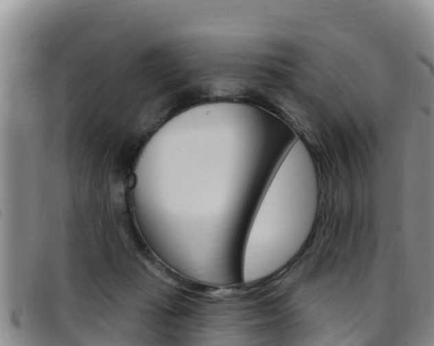 X0000097890269200803141012