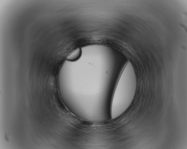 X0000097890270200803141012