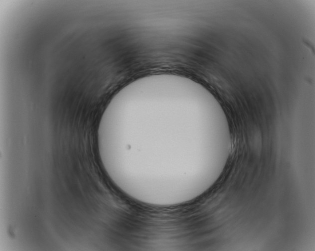 X0000097890272200803141012
