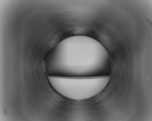 X0000097890273200803141012