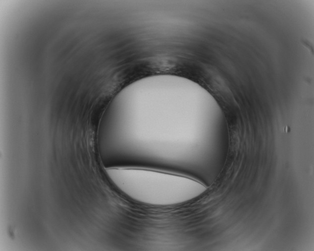 X0000097890274200803141012