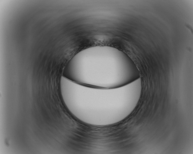X0000097890276200803141012
