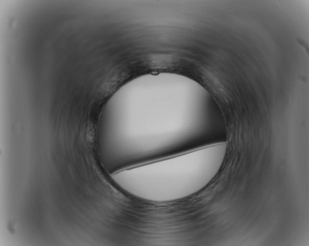 X0000097890277200803141012