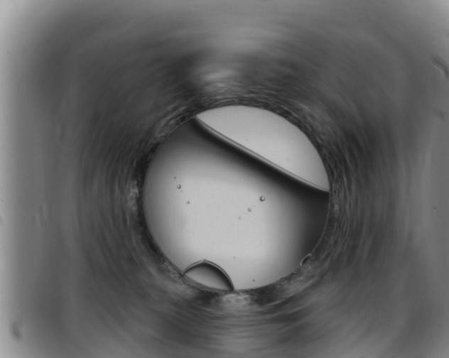X0000097890279200803141012