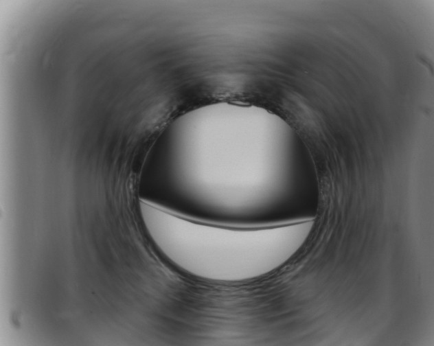 X0000097890280200803141012