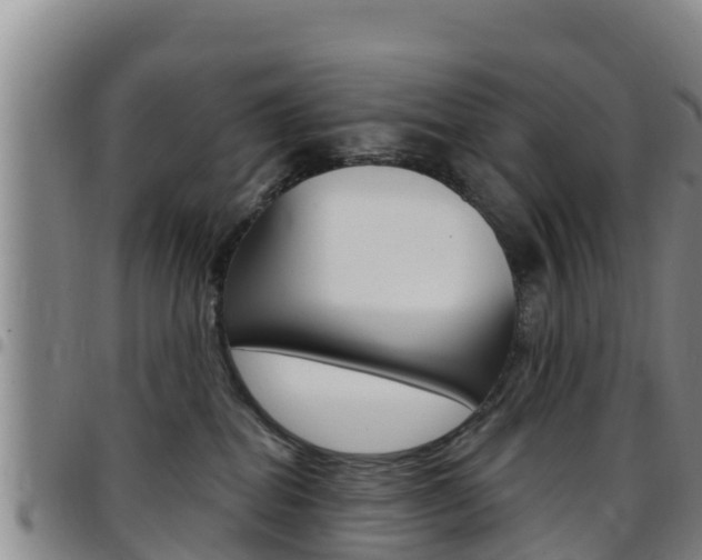 X0000097890282200803141012