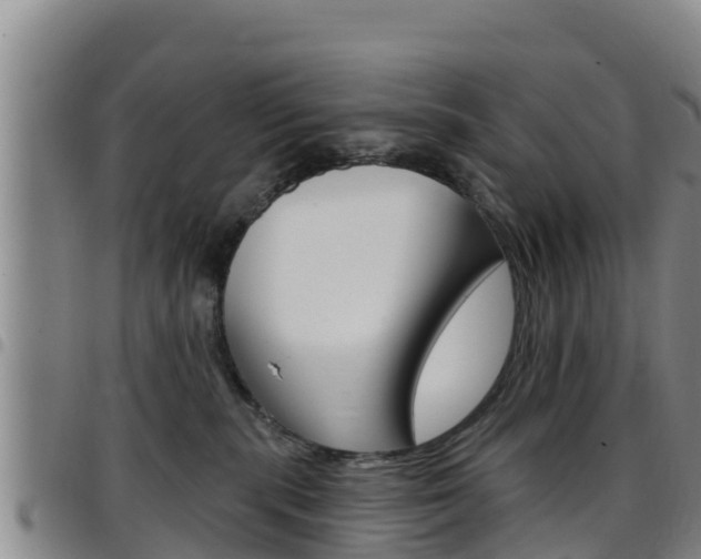 X0000097890283200803141012