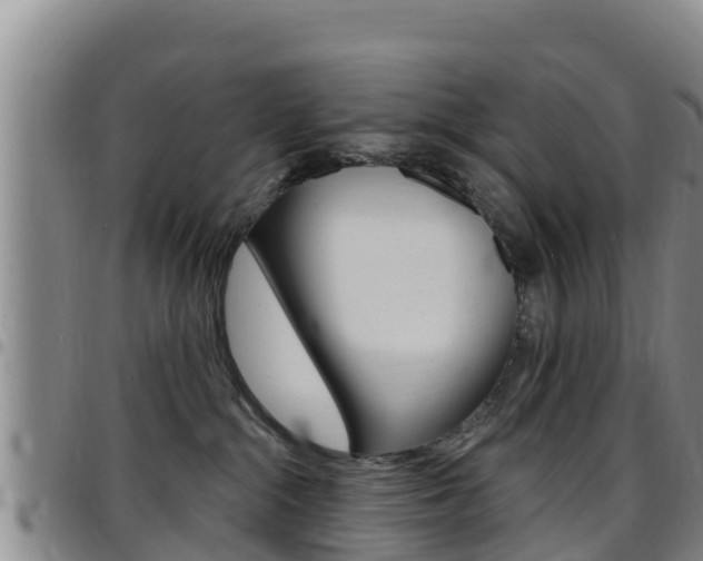 X0000097890284200803141012