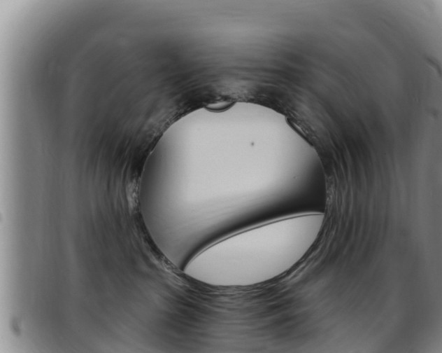 X0000097890285200803141012