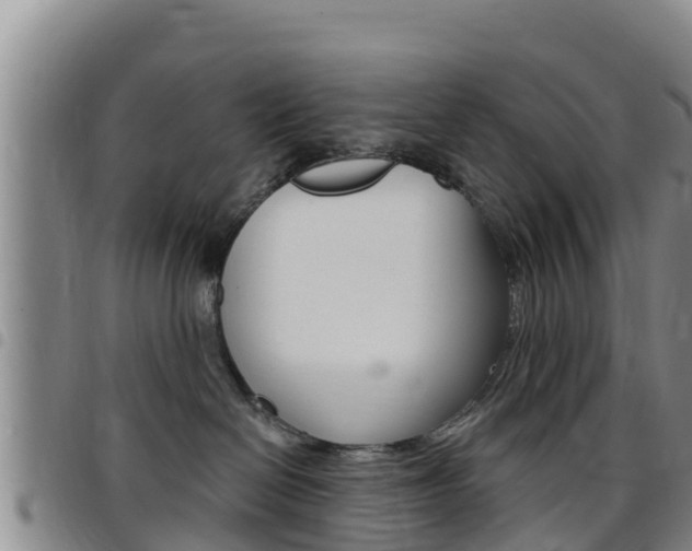 X0000097890286200803141012