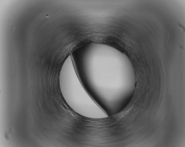 X0000097890288200803141012