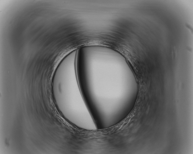 X0000097890289200803141011