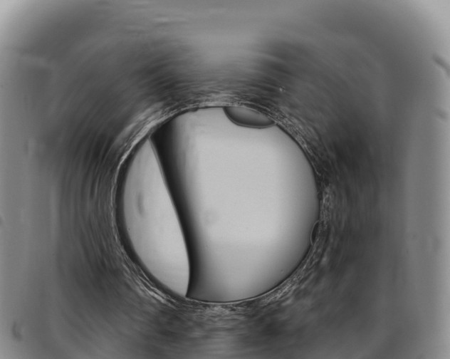 X0000097890290200803141011