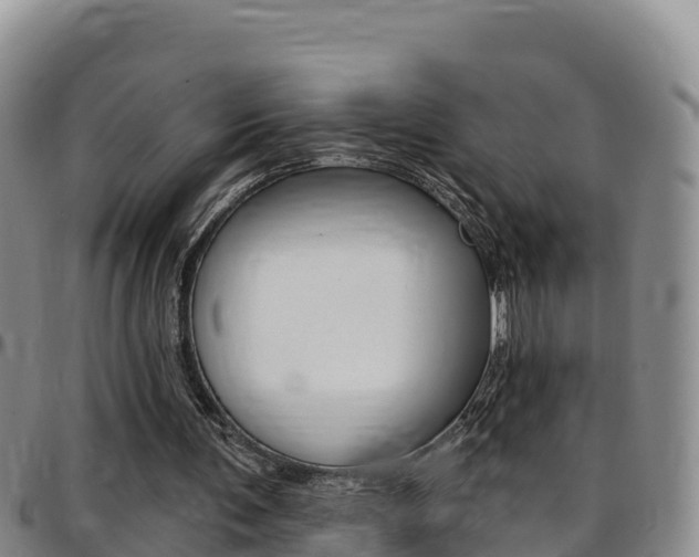 X0000097890291200803141011